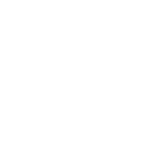 Our Vision