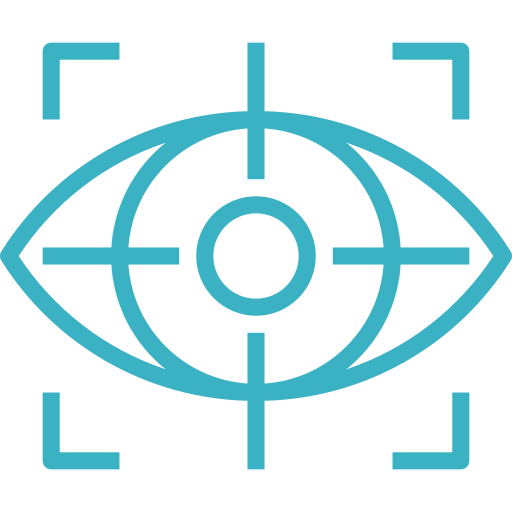 Our Vision